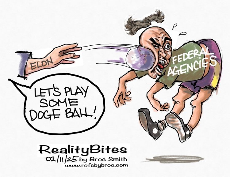 Doge Ball