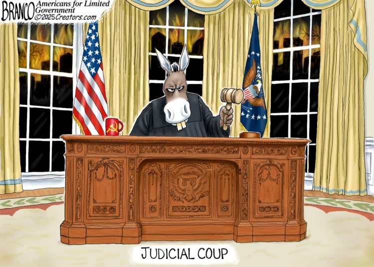 Left-Wing Judicial Coup