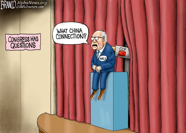 Who’s Your Puppet