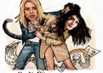 Cat Fight!