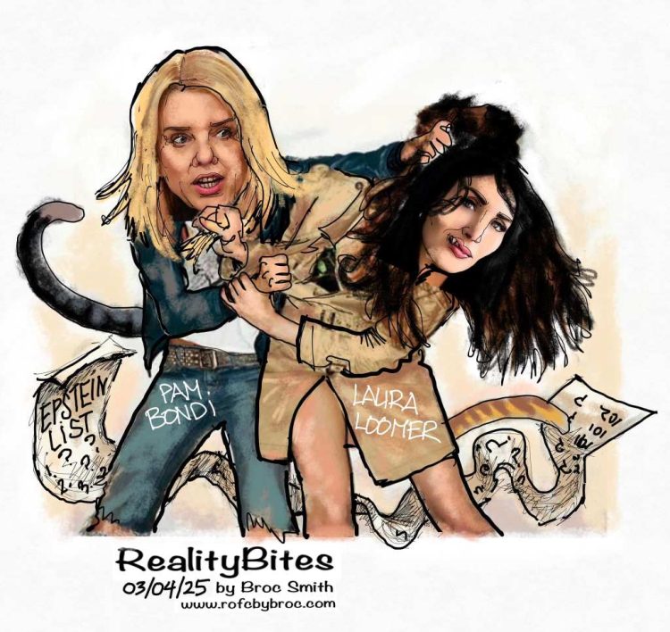Cat Fight!