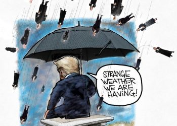 It’s Raining Judges
