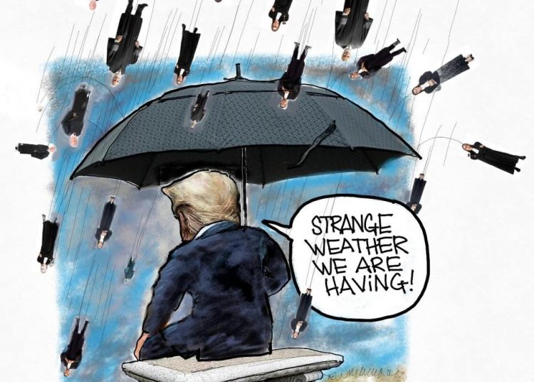 It’s Raining Judges