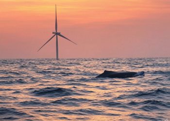 Secretary Burgum: You have the legal authority to halt offshore wind