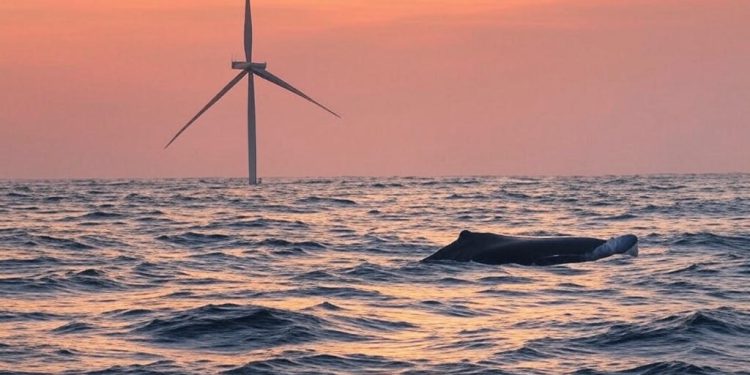 Secretary Burgum: You have the legal authority to halt offshore wind