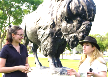 Time to save the “Wild West” from wind