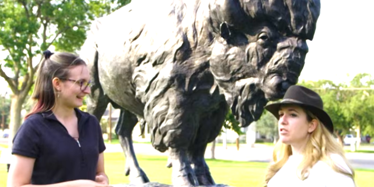 Time to save the “Wild West” from wind