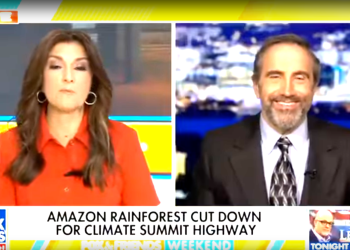 Brazil cuts down Amazon rainforest for UN climate conference