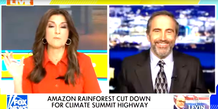 Brazil cuts down Amazon rainforest for UN climate conference