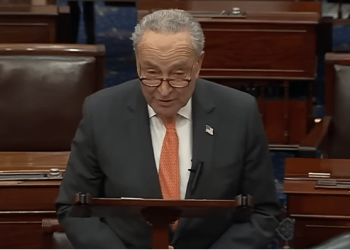 Democrats Can’t Decide If They Want To Fund The Government Or Not
