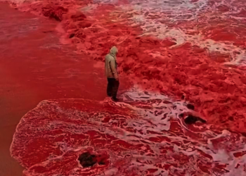 ‘Blood Rain’ Turns A Beach In Iran Bright Red Just Before The Blood Moon Purim Eclipse On Thursday Night