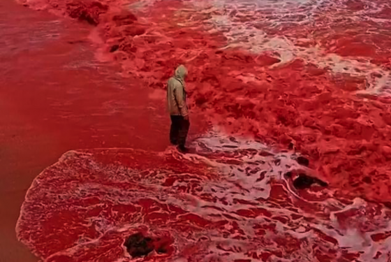 ‘Blood Rain’ Turns A Beach In Iran Bright Red Just Before The Blood Moon Purim Eclipse On Thursday Night