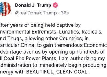 Radicals seek to thwart reform by attacking Teslas