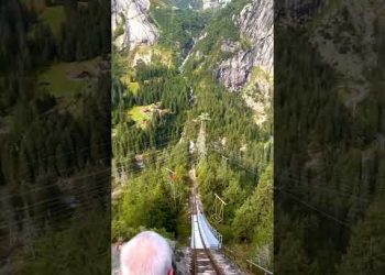 He is Scared of Heights