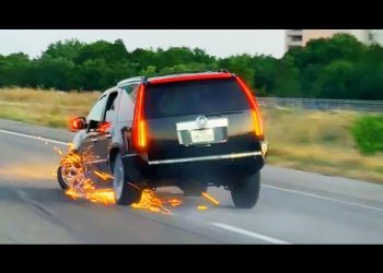 The Dumbest Drivers Ever