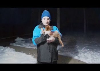 Strangest Delivery Driver Ever