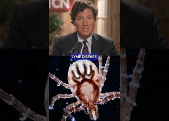 The Tick Conspiracy