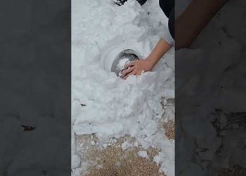 The Perfect Snowball