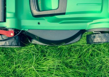 Lawn Gone Liberty: The Update