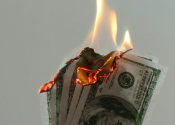 Why Democrats Hate DOGE and Love Waste