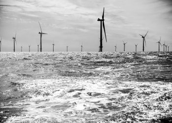 Will Trump stand by as mega-offshore wind projects resume construction?