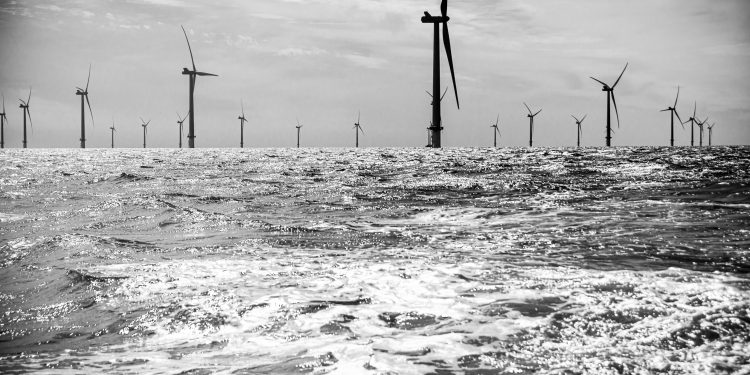 Will Trump stand by as mega-offshore wind projects resume construction?