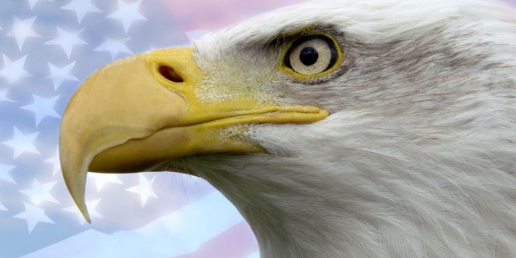 The Feds are hiding the eagle death data