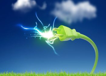 The dismantling of the Green state continues