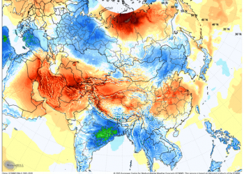 Current global pattern shows why the hockey stick strikes out
