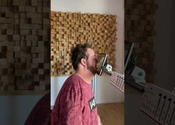 The Mouth Musician