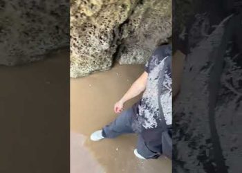 He Had No Options Left