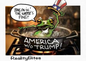 Boiled Frog
