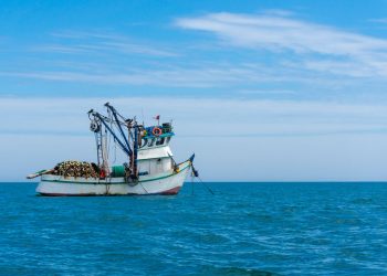 Tuna fishers, lobstermen praise reopening of waters
