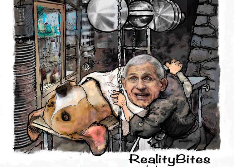 Mad Dog Scientist