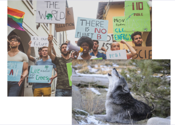 CFACT tells the Feds to reform the Endangered Species Act