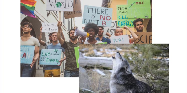 CFACT tells the Feds to reform the Endangered Species Act