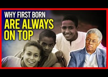 Why do first born children succeed more often