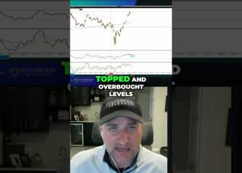 June Market Rebound  Stock Expert Predicts HUGE Pullback!