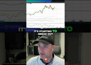 Gold’s Next Move  Bullish, Bearish, or Sideways