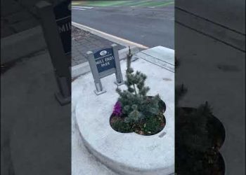 The Smallest Park in the World