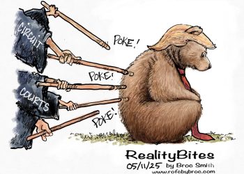 Pokin the Bear