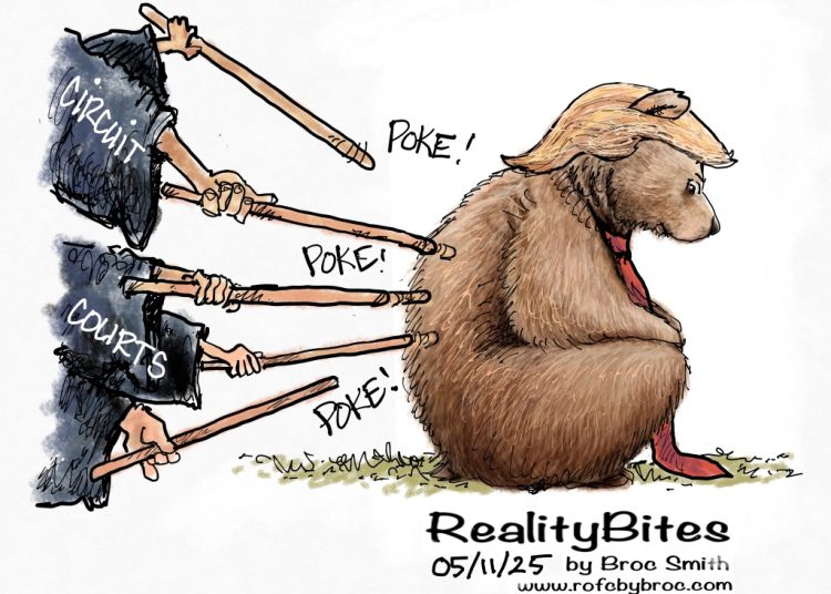 Pokin the Bear