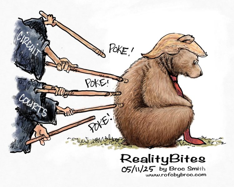 Pokin the Bear