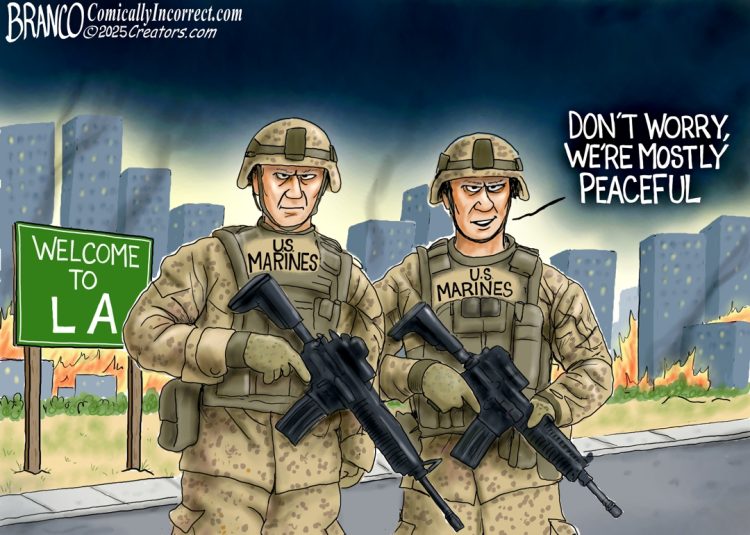 Branco Cartoon – War Zone Of Love