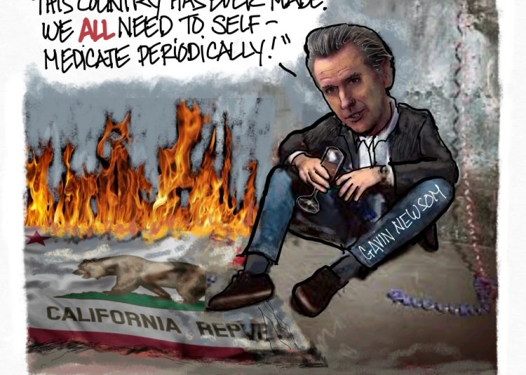 Newsom Wisdom Quote