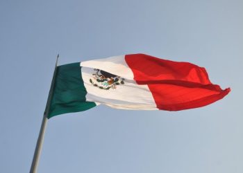 Why Was The Mexican Flag Chosen To Be The Primary Symbol Of The “Color Revolution” That Has Erupted In Los Angeles?