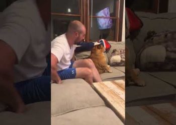 The Real Man of the House