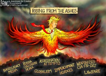Branco Cartoon – Rising From the Ashes