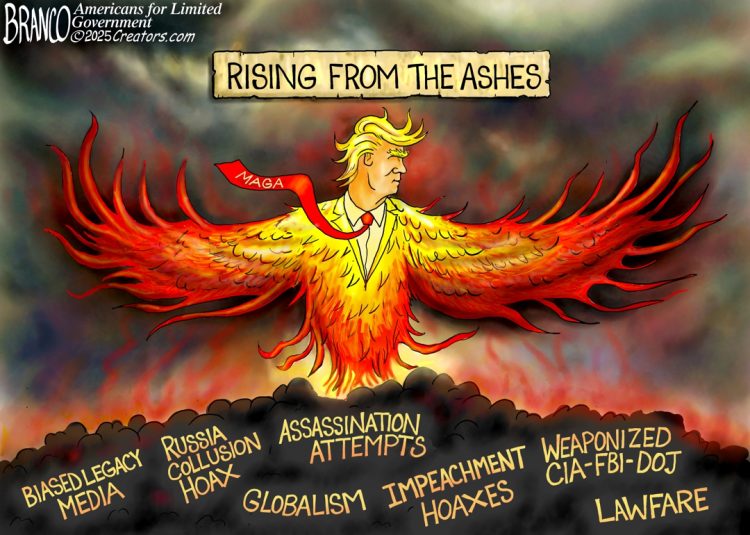 Branco Cartoon – Rising From the Ashes