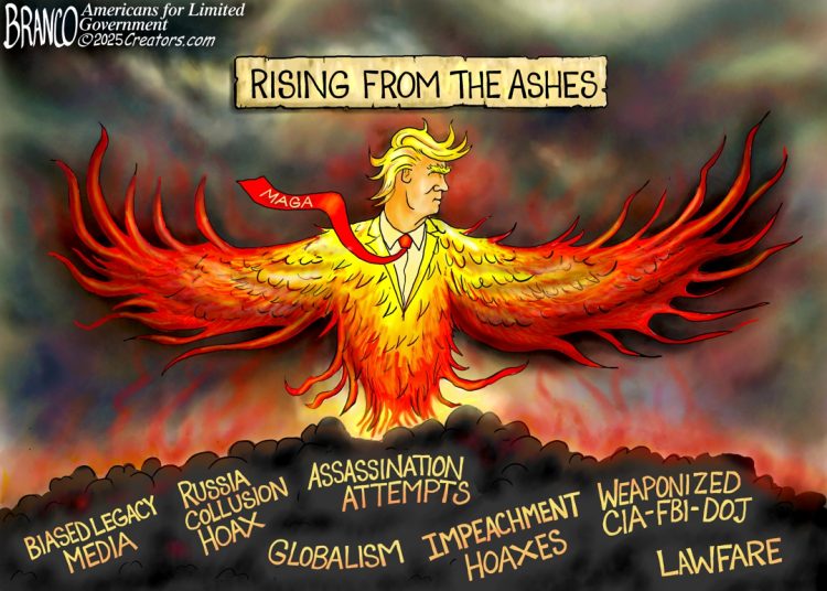 Branco Cartoon – Rising From the Ashes